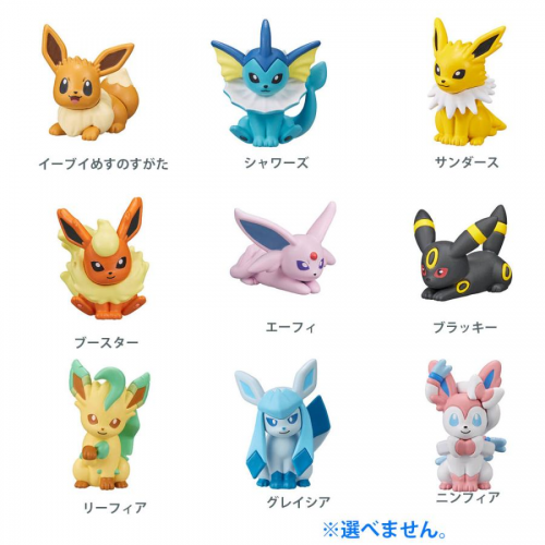 BANDAI 万代 入浴球 Pokemon 宝可梦 伊布的朋友系列